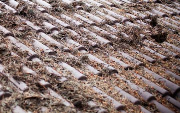 Mendlesham Green roof cleaning companies